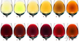 cores do vinho