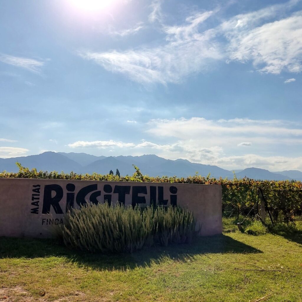 riccitelli wines