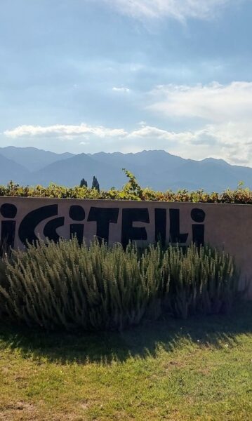 Riccitelli Wines: la búsqueda por expresar el terroir mendocino