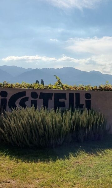 Riccitelli Wines: a busca por expressar o terroir mendocino