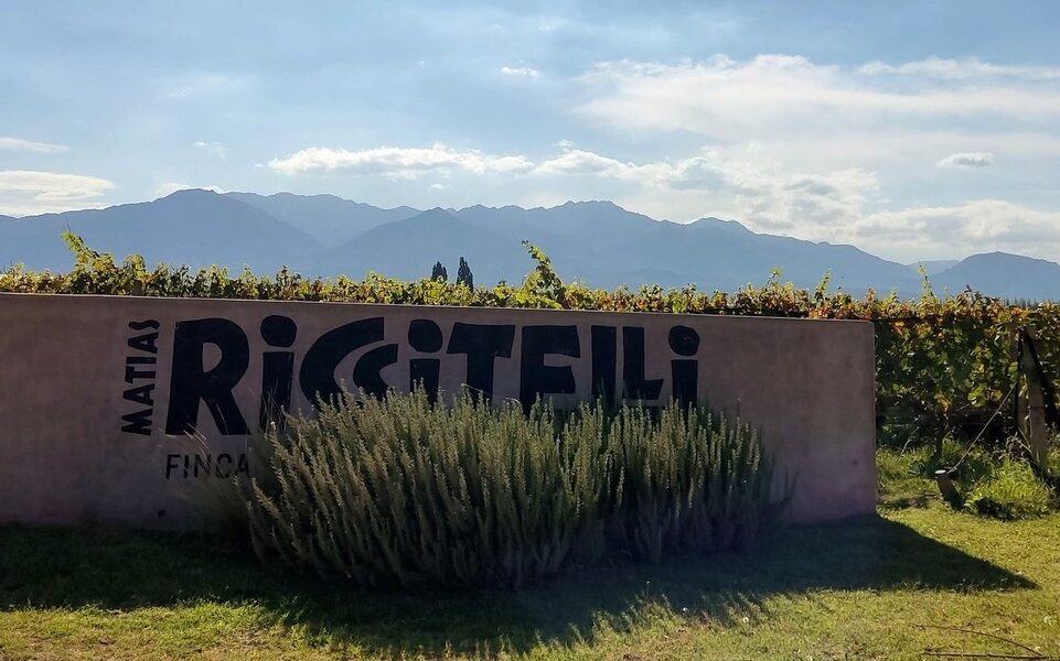 riccitelli wines