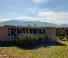 Riccitelli Wines: a busca por expressar o terroir mendocino