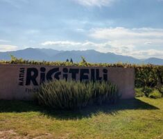 Riccitelli Wines: la búsqueda por expresar el terroir mendocino