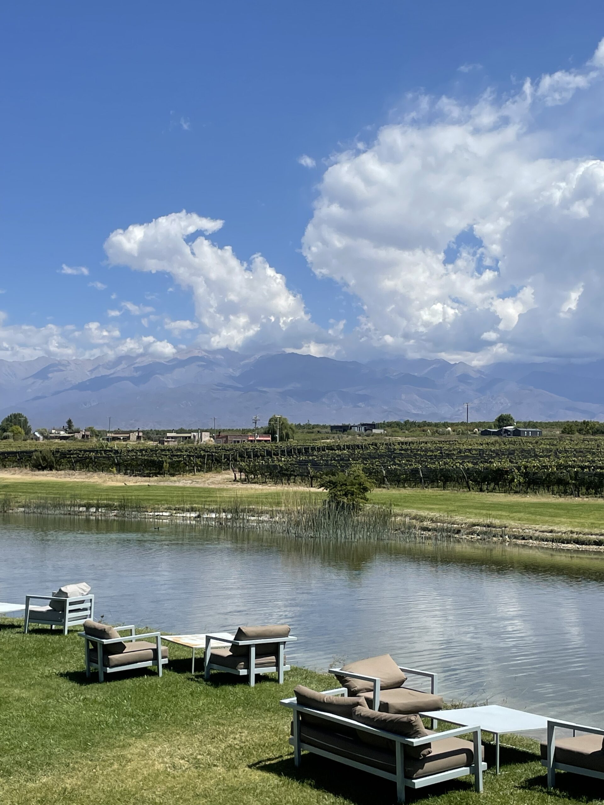 Domaine Bousquet: vinhos orgânicos no Valle de Uco