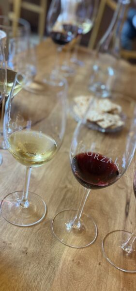 Zorzal Wines: “para se diferenciar, é preciso fazer vinhos únicos”